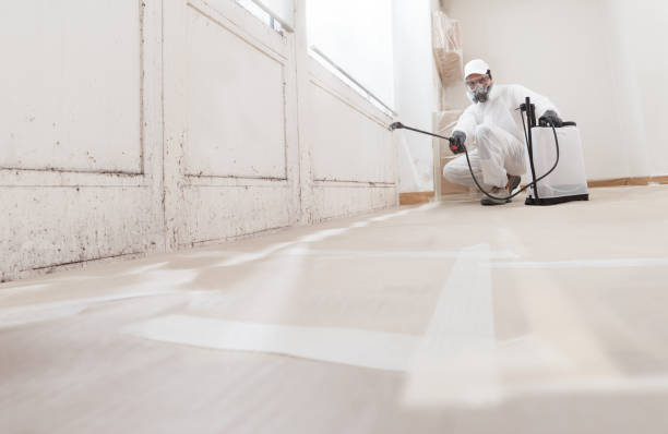 24/7 Emergency Attic Mold Remediation experts in Carr, CO